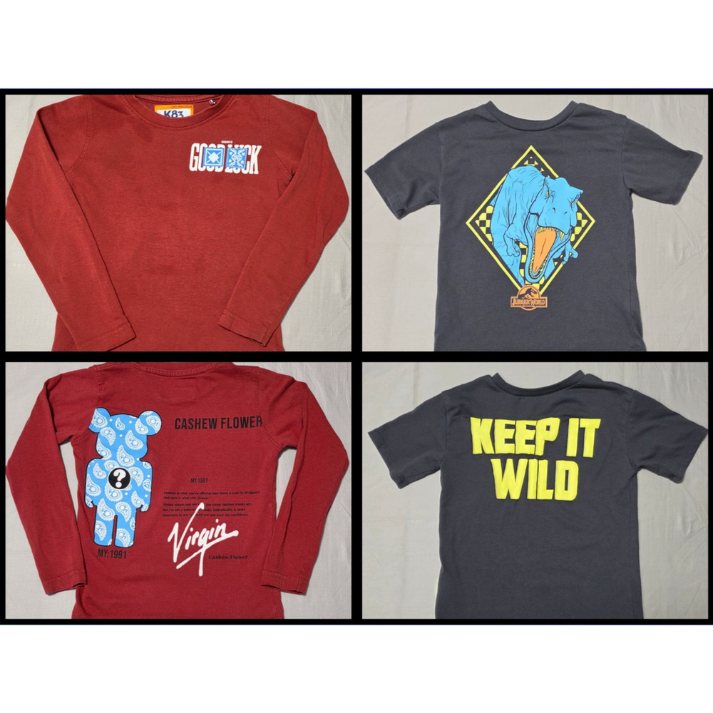 Lot of 2 T-shirts for Boys Jurassic World T-Rex -K83 Cashew Flower Long Sleeve